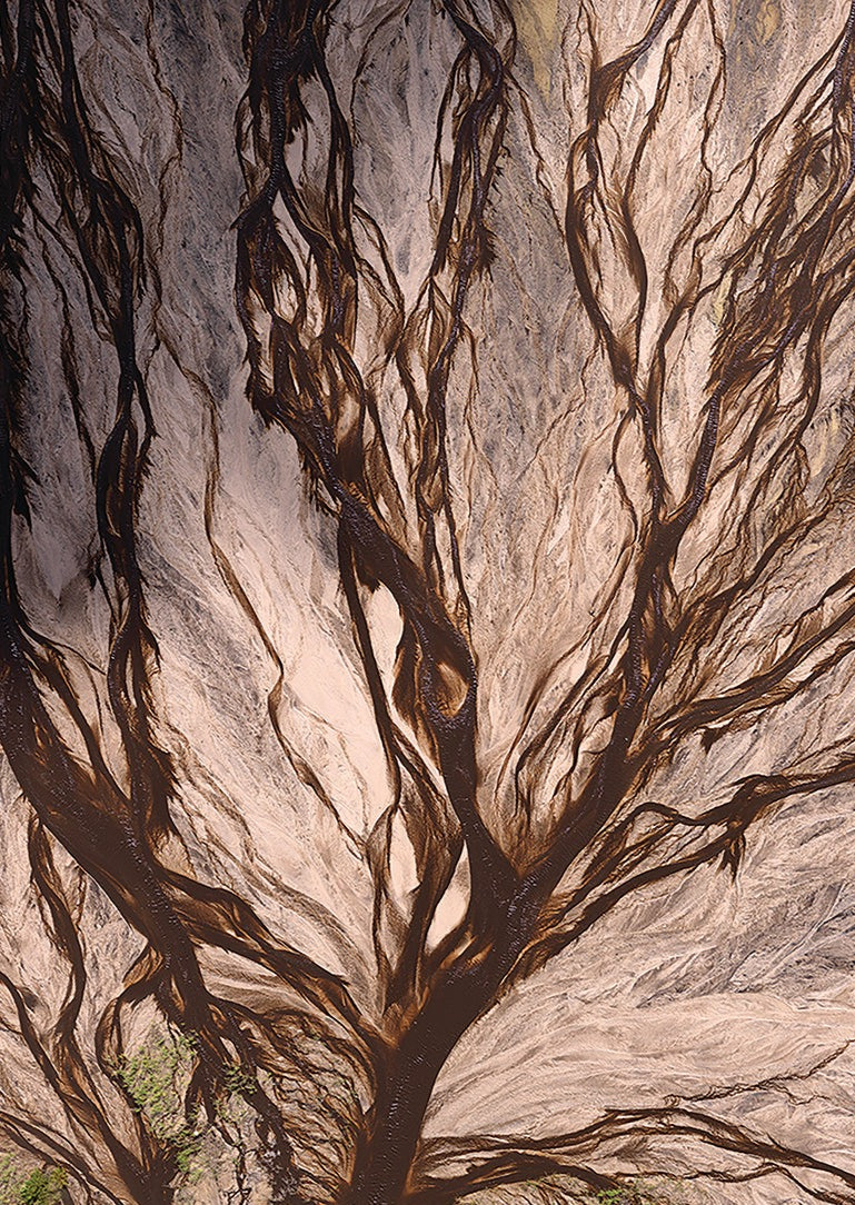 Sepia Brown Sleeveless Blazer with Waist Belt