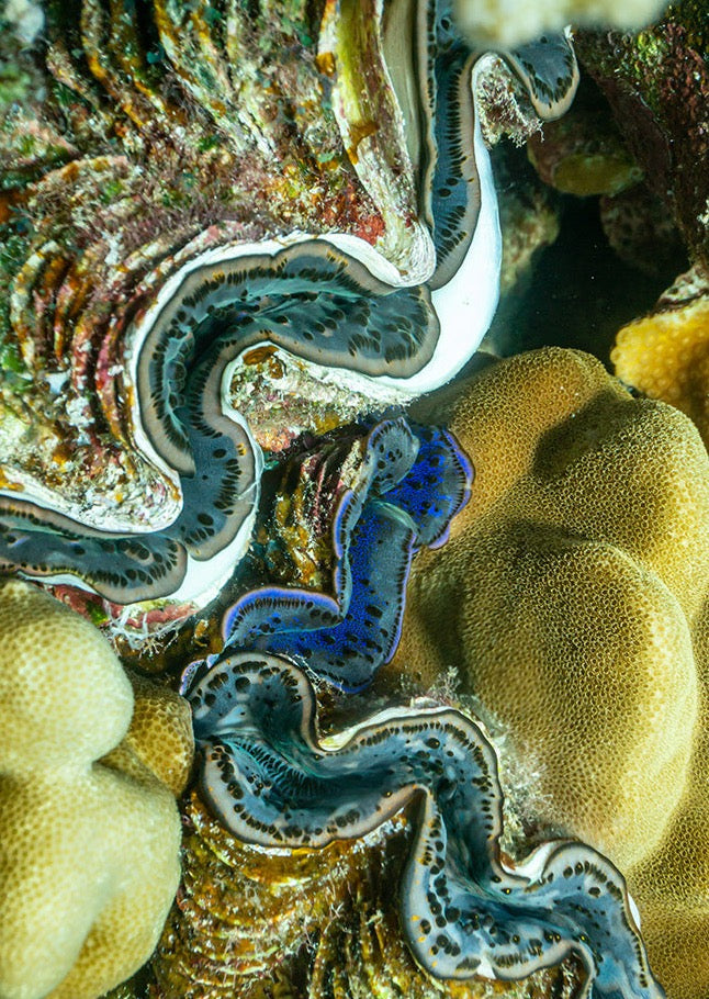 Aquatic Yellow and Blue Yoga Bag with Zipper