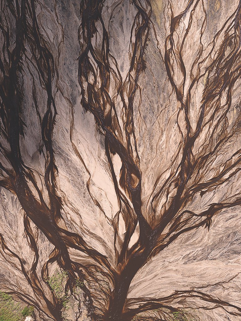 Sepia Brown Waterproof Jacket with Waist Belt